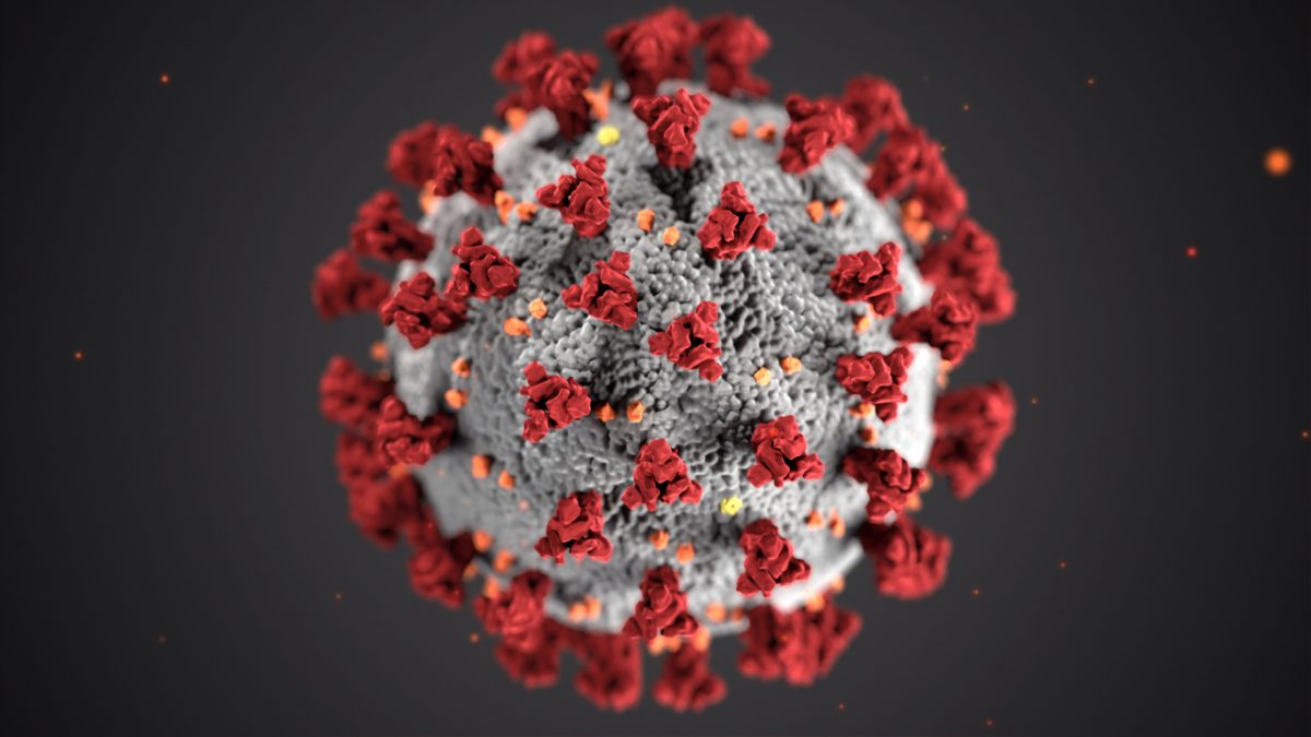 The bright side of Coronavirus